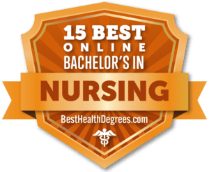 15 Best Online BSN Programs