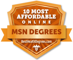 10 Cheap MSN Online Programs