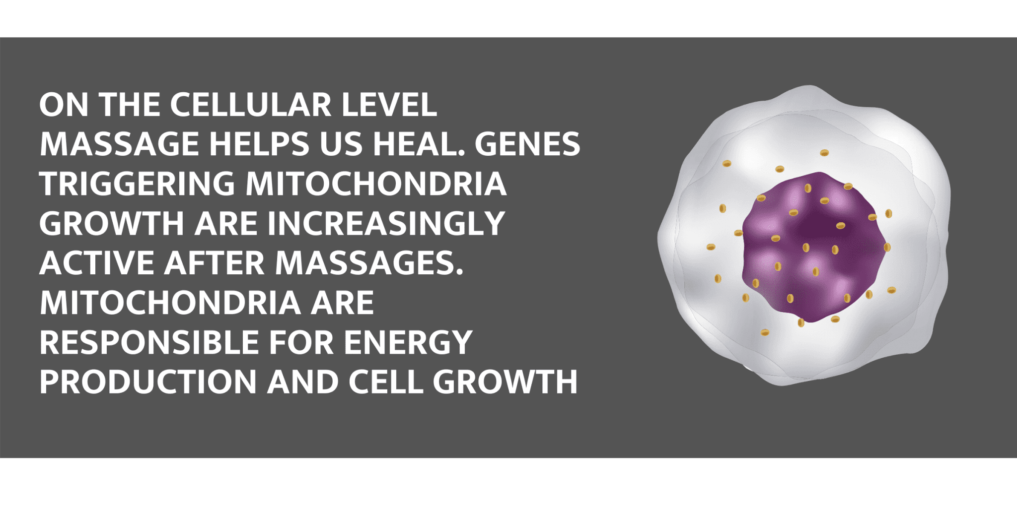 What Can I Do With a Degree In Massage Therapy?