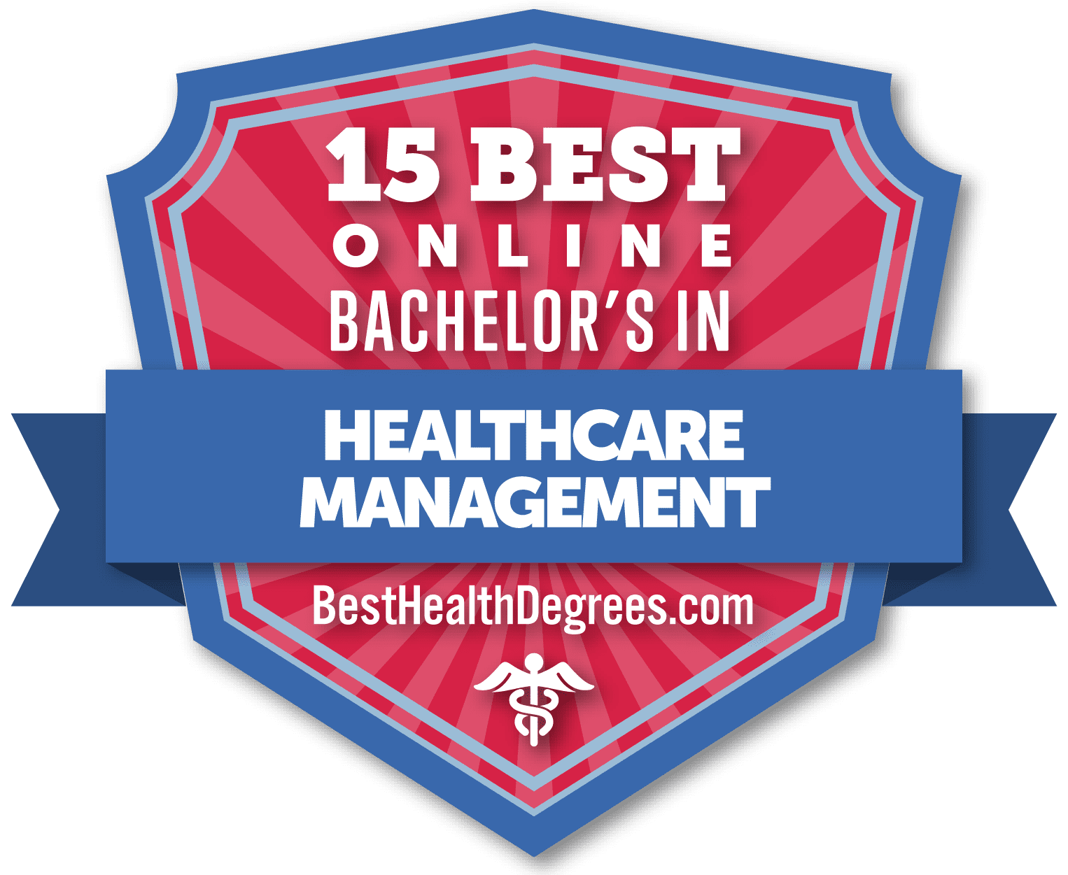 15 Best Online Health Care Management Bachelor's Programs - The Best